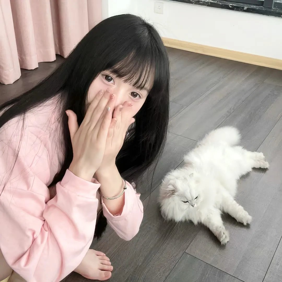铁血战士 在线观看
